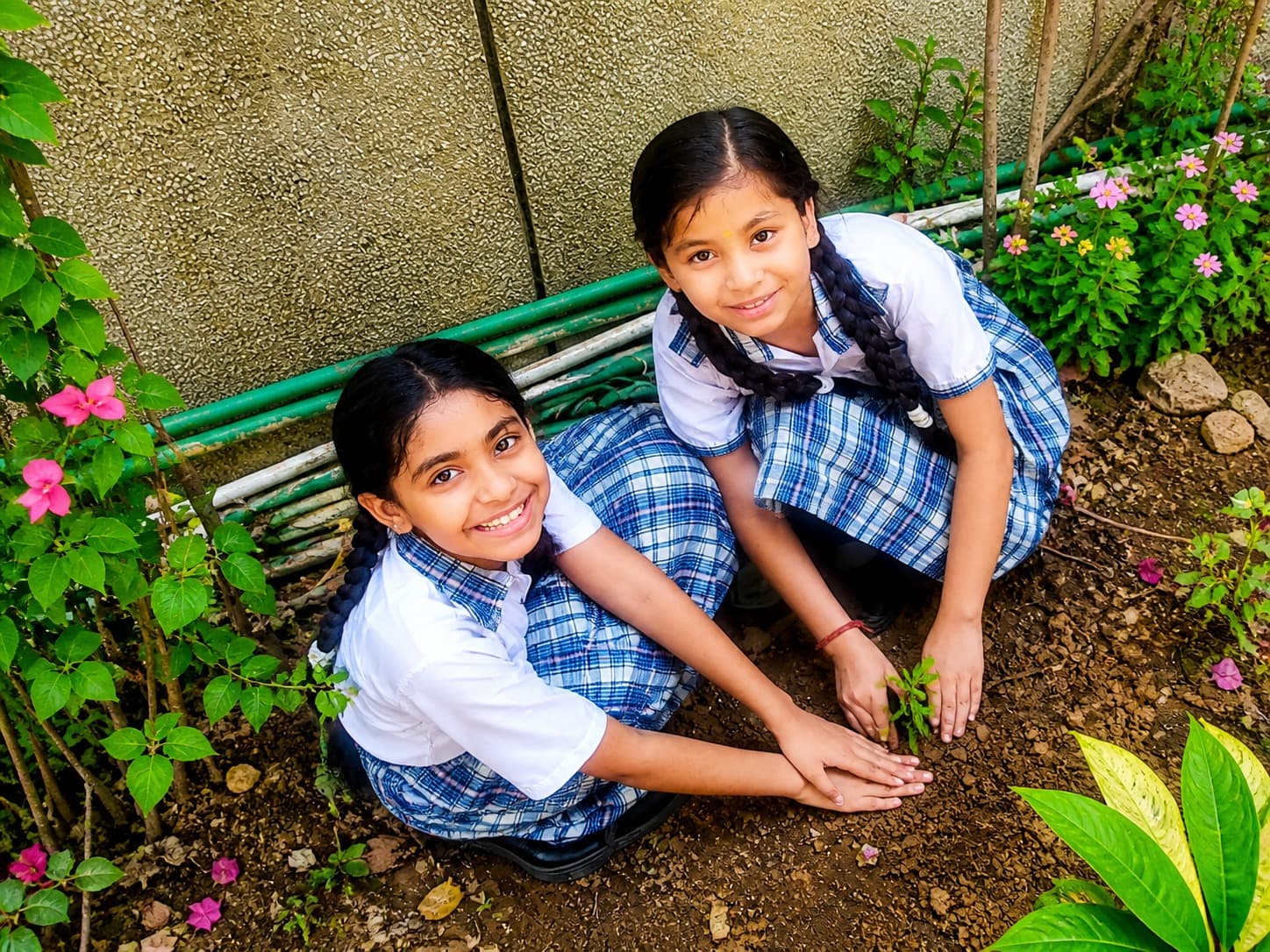 Gardening activity